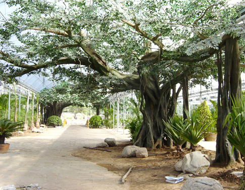 仿真花樹(shù)
